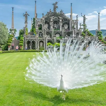 Attico Vistalago - Centro Citta Lägenhet